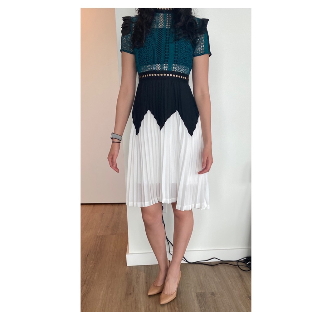Lace and Pleated Dress